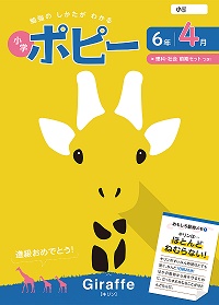 小学6年生ポピー