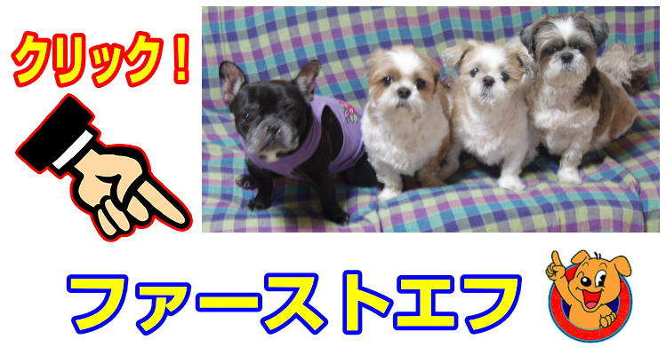 もう１つのサイト|ファーストエフ/ポピーふくい第一支部