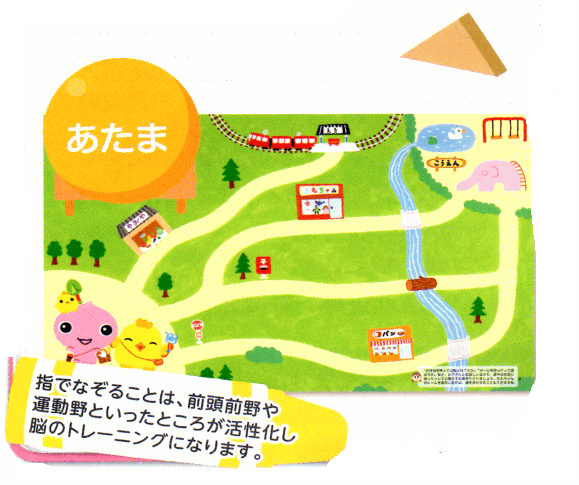 ももちゃん「あたま」