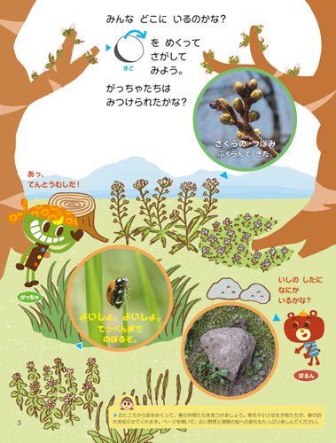 あかどり特集